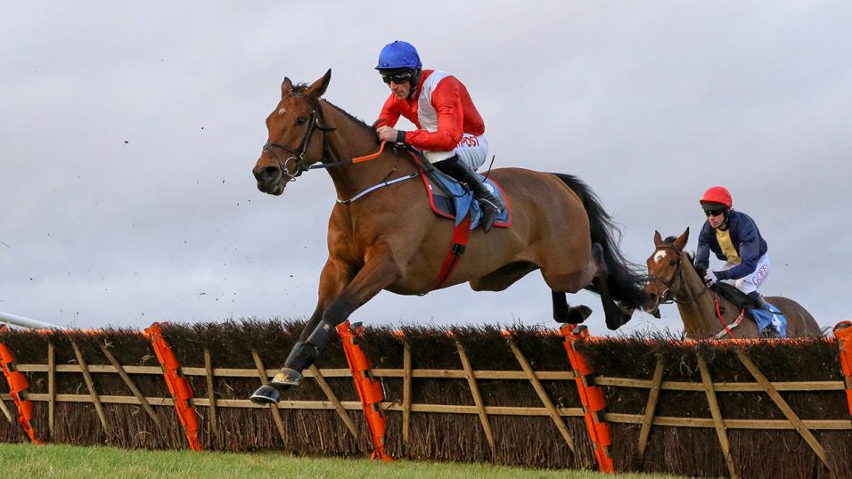 Jumps racehorse Envoi Allen